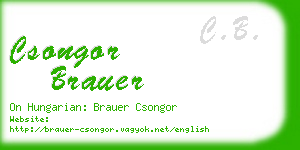 csongor brauer business card